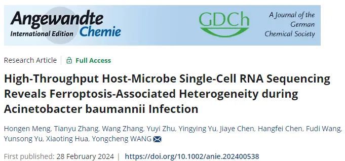 High-Throughput Host-Microbe Single-Cell RNA Sequencing Reveals Ferroptosis-Associated Heterogeneity during Acinetobacter baumannii infection