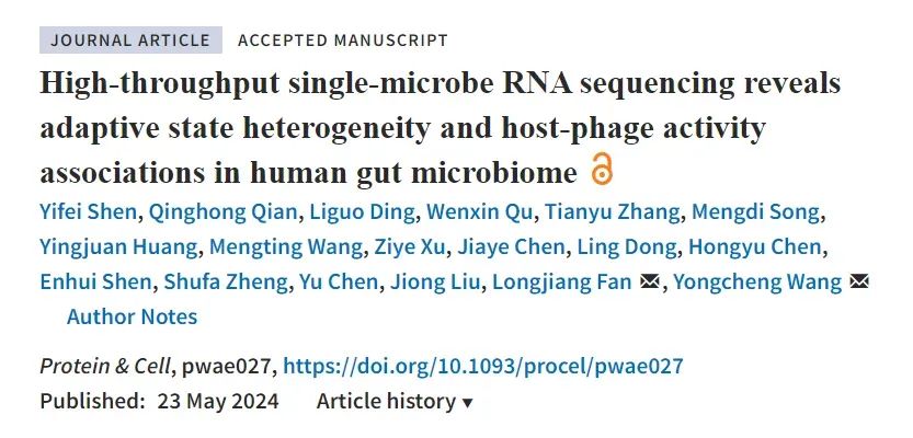 High-throughput single-microbe RNA sequencing reveals adaptive state heterogeneity and host-phage activity associations in human gut microbiome
