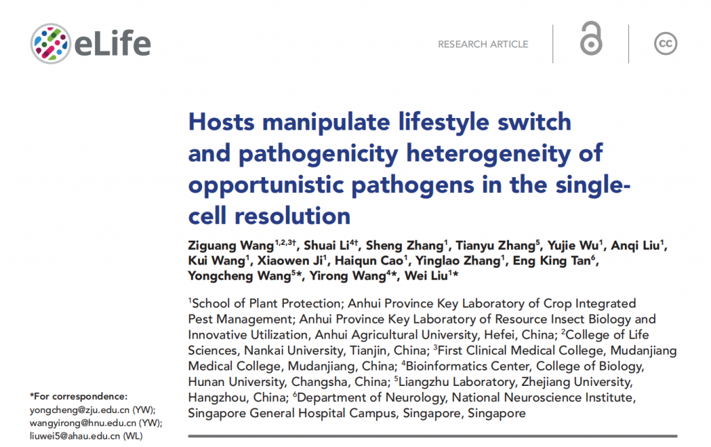 Hosts Manipulate Lifestyle Switch and Pathogenicity Heterogeneity of Opportunistic Pathogens in the Single-cell Resolution