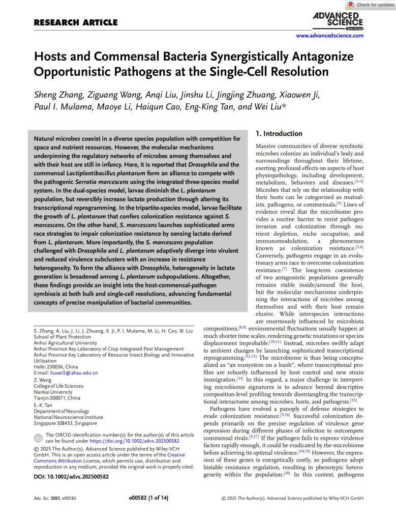 Hosts and Commensal Bacteria Synergistically Antagonize Opportunistic Pathogens at the Single-Cell Resolution