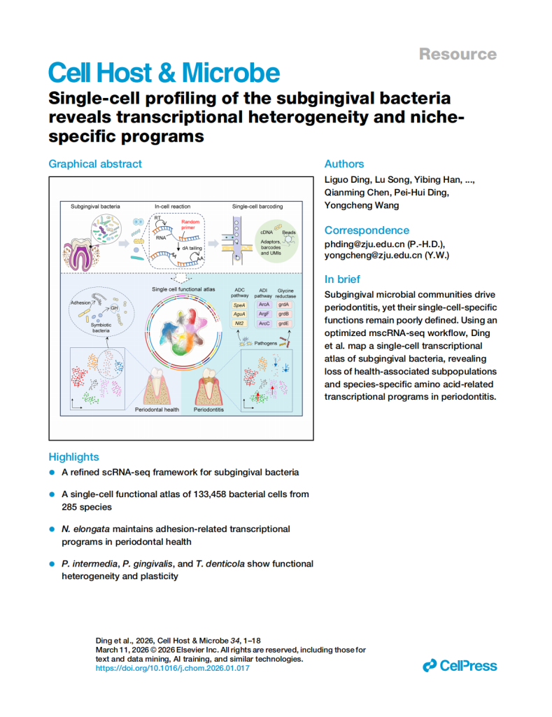 Single-cell profiling of the subgingival bacteria reveals transcriptional heterogeneity and niche-specific programs