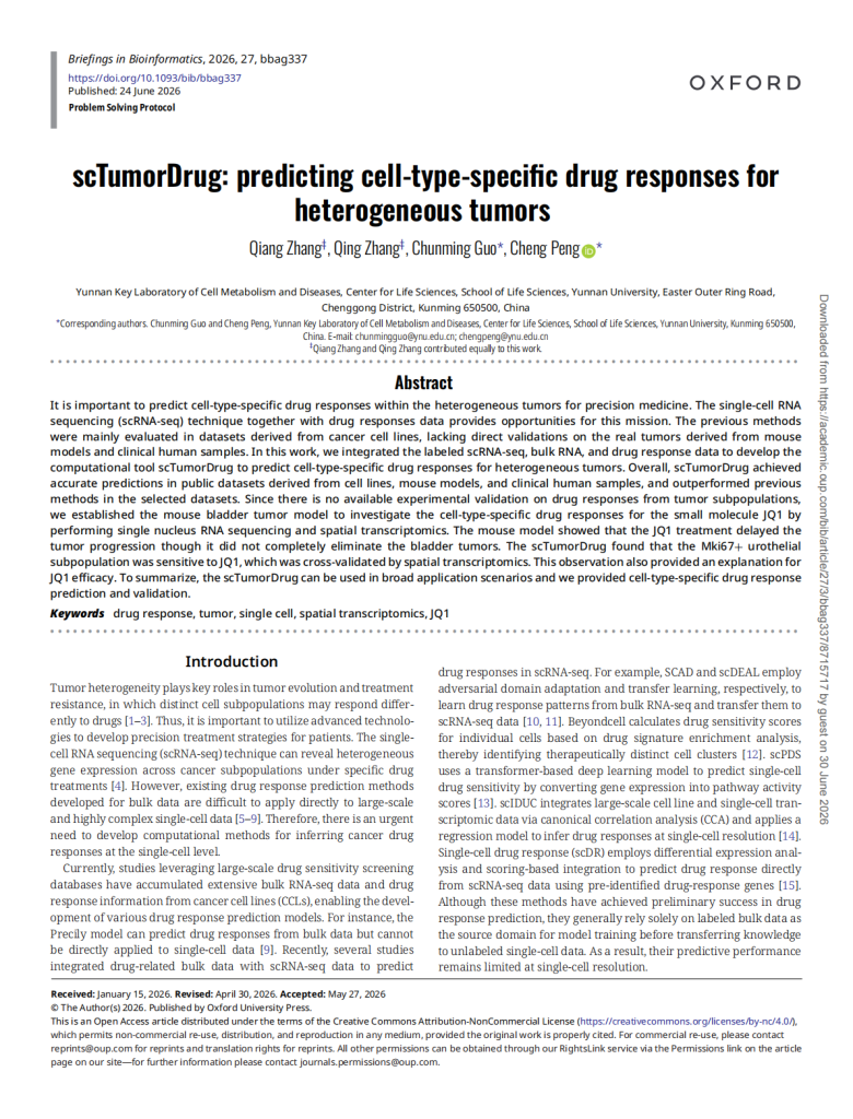 scTumorDrug: predicting cell-type-specific drug responses for heterogeneous tumors